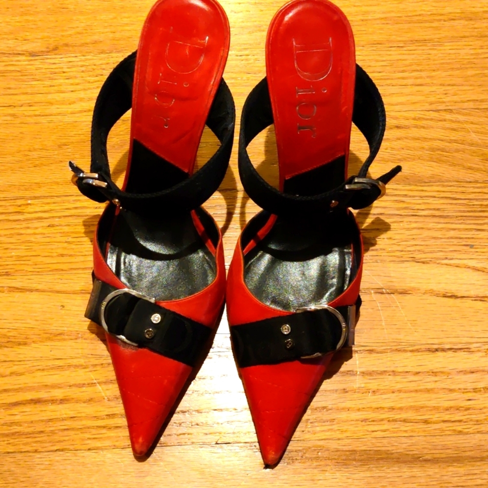Red Dior shoe
